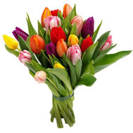 Bouquet of Tulips