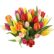 Bouquet of bright tulips