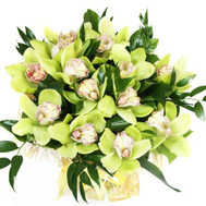 Bouquet of green orchids