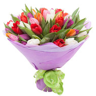 Elegant bouquet of multi-colored tulips