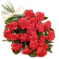 Cascade bouquet of carnations