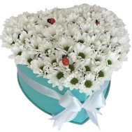 Heart-shaped composition from chrysanthemums