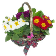 Primrose basket