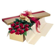 Red roses in a box