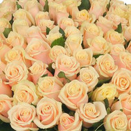Cream roses (by the piece)