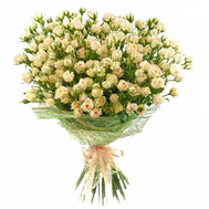 Buy bush roses