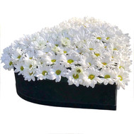 Flower heart with chrysanthemums