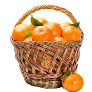 Mandarin paradise