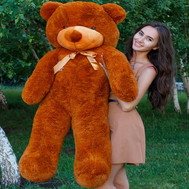 Bear 1,4 m
