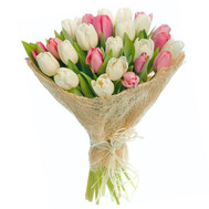 Delicate bouquet of tulips