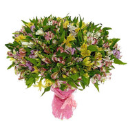 A huge bouquet of alstroemerias