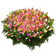 A huge bouquet of tulips