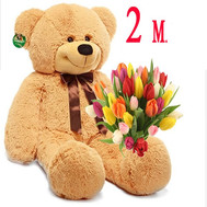 Gift Solution 11