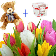 Gift Solution 3