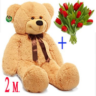 Gift Solution 9