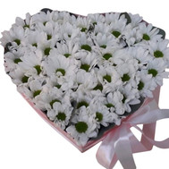 Heart of Chrysanthemums