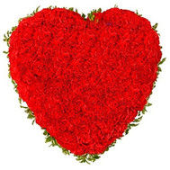 Heart of 101 carnations