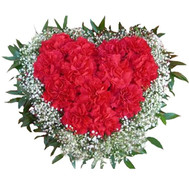 Heart of carnations