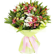 Amazing bouquet of alstroemerias