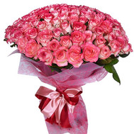 101 rose Jamilia