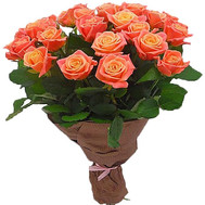 25 peach roses