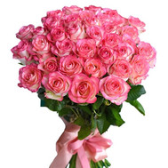 35 roses Jumilia