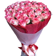 51 roses Jumilia