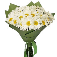 Summer bouquet of chamomiles