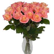 Trendy roses in a bouquet
