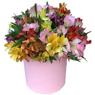 15 alstroemerias in a box
