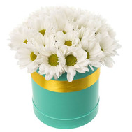 Chamomile chrysanthemums in a box