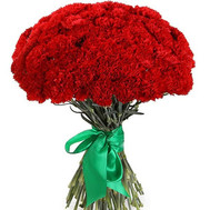 101 red carnations