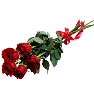 5 red roses