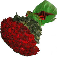 55 meters of imported roses