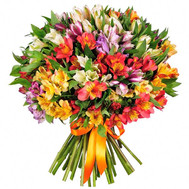Large bouquet of alstroemerias