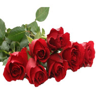 Bouquet of imported roses