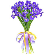 Bouquet of 15 irises