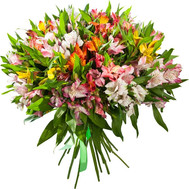 Bouquet of alstroemerias
