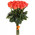 21 coral roses