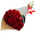 Red Roses in Kraft