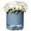 Chamomile chrysanthemums in a box