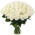 A gorgeous bouquet of white roses