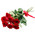 7 red roses