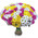 51 multi-colored chrysanthemum