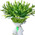 25 white lilies