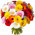 Large bouquet of 51 gerberas