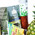 Shopping basket