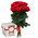 11 roses and rafaello