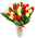 25 white and red tulips