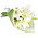 3 lilies in a bouquet